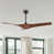 Noyer est en rupture de stock