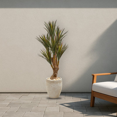 Yucca Tree in Planter UV Resistant