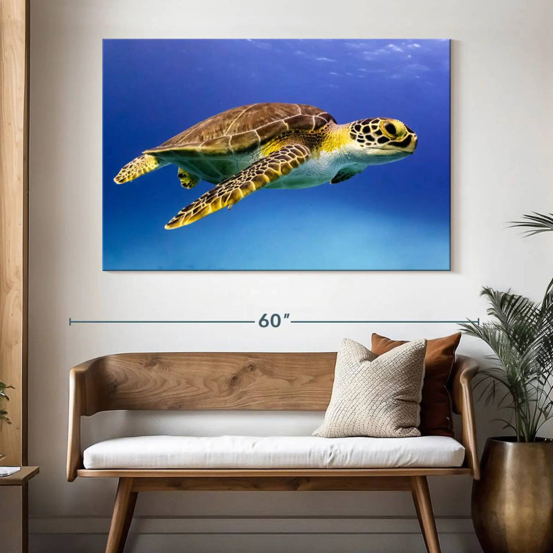 Brampt Young Hawksbill Turtle, 34" H x 51" W