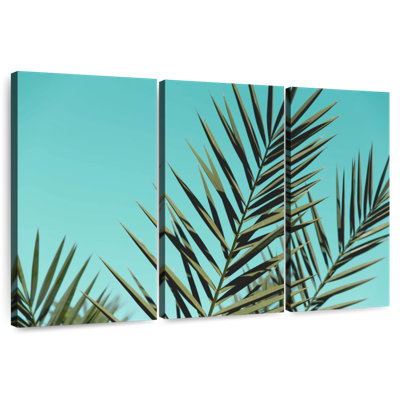 Feuilles de palmier Harnek Sky