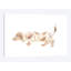 « long-cheveu teckel », impression sur toile-31494563-73279173-73279177
