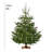 Krinner Kopenhagen Oak Christmas Tree Stand