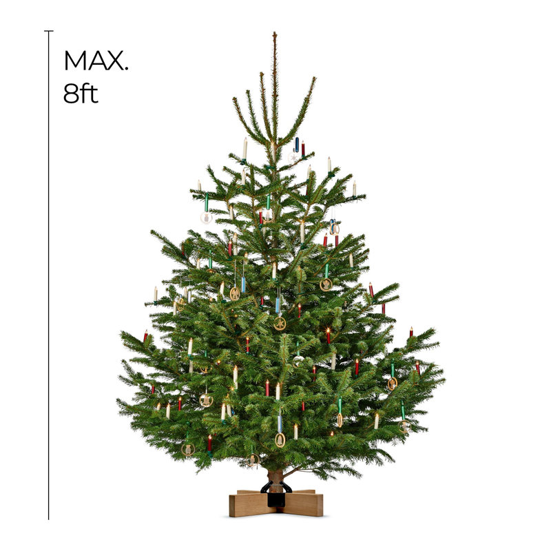 Kopenhagen Modern Oak and Steel Christmas Tree Stand