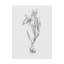 « botanique esquisse i », reproduction d’art sur toile tendue-33424182
