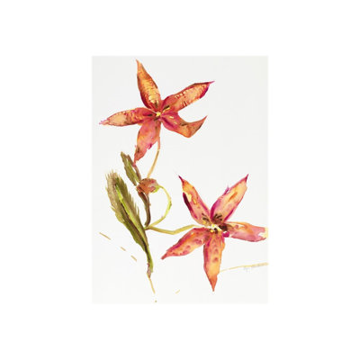 Bloom X Print