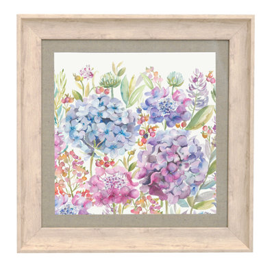 Hydrangea - Single Picture Frame Print