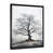 Black Picture Frame