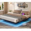 Lit flottant avec lumières à DEL, station de charge USB et Type-C, drap antidérapant, lit plateforme en métal de très grande taille, aucun sommier requis, assemblage facile, noir-277930764
