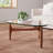 Etna Glass Top Coffee Table-1453036113-1407144804