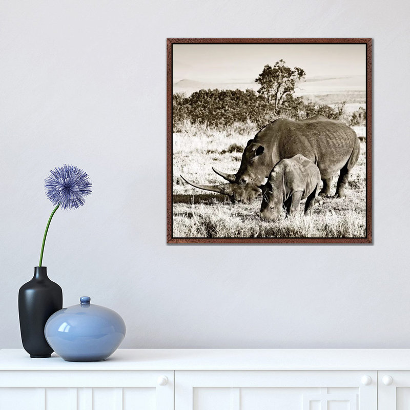 Bonded Rhino by Klaus Tiedge - Print on Canvas, 45.72 cm H x 45.72 cm W, Classic Brown Wood Framed