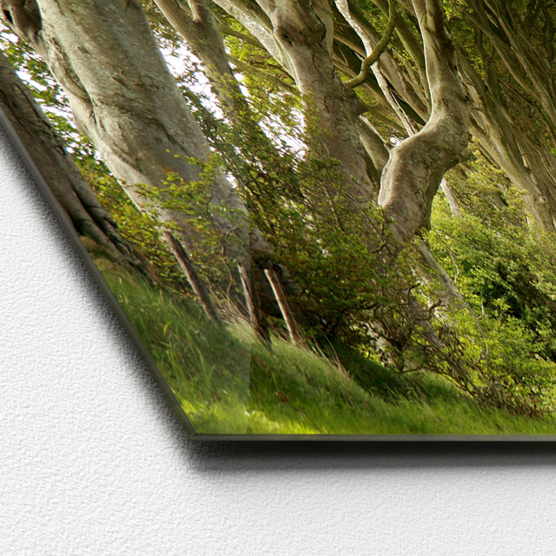 No Frame Painting, 50 cm H x 125 cm W x 1.4 cm D