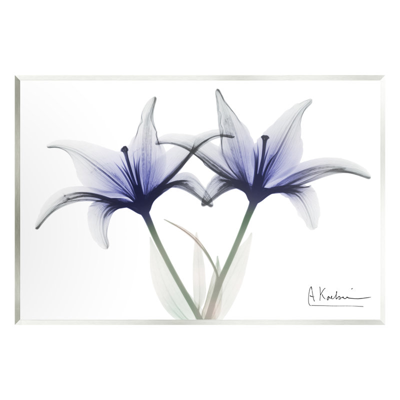 "Stupell Industries", art mural de lis aux fleurs par Albert Koetsier, H 10 po x l 15 po x P 0,5 po