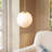 1 - Light Glass Globe Pendant Lights
