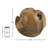 Ishmaiah 14" Teak Root Sphere Accent Decor