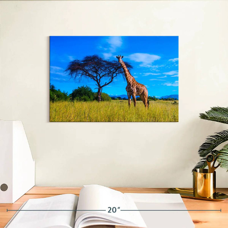 Girafe du parc national Brampt Ruaha, H 8 po x l 12 po