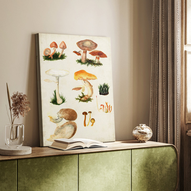 Mushroom Species IV - galerie sur mesure, H 18 po x l 12 po