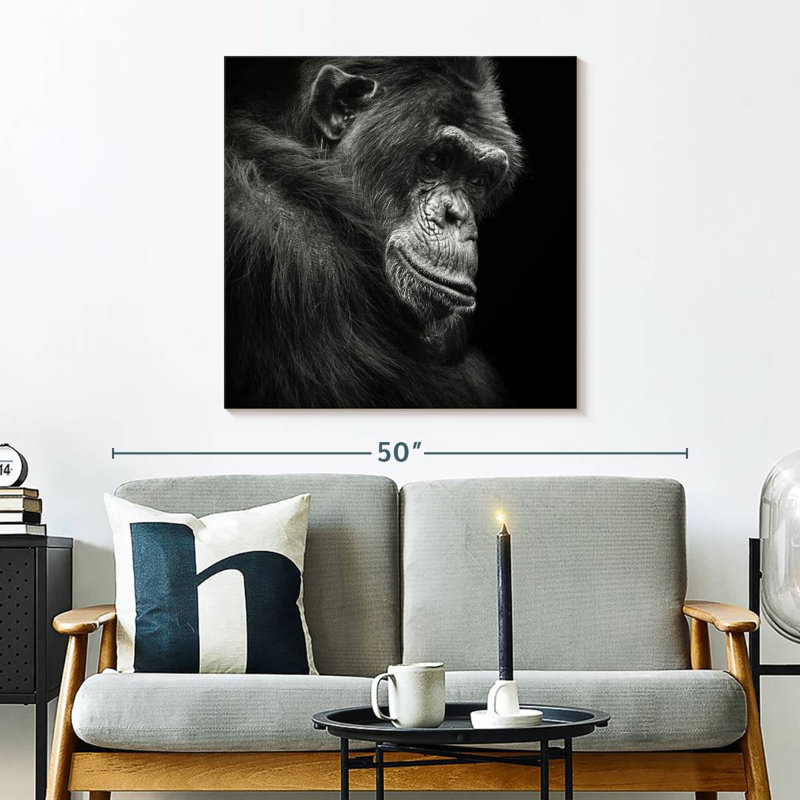 Crowle Contemplating Chimpanzee, 30" H x 30" W