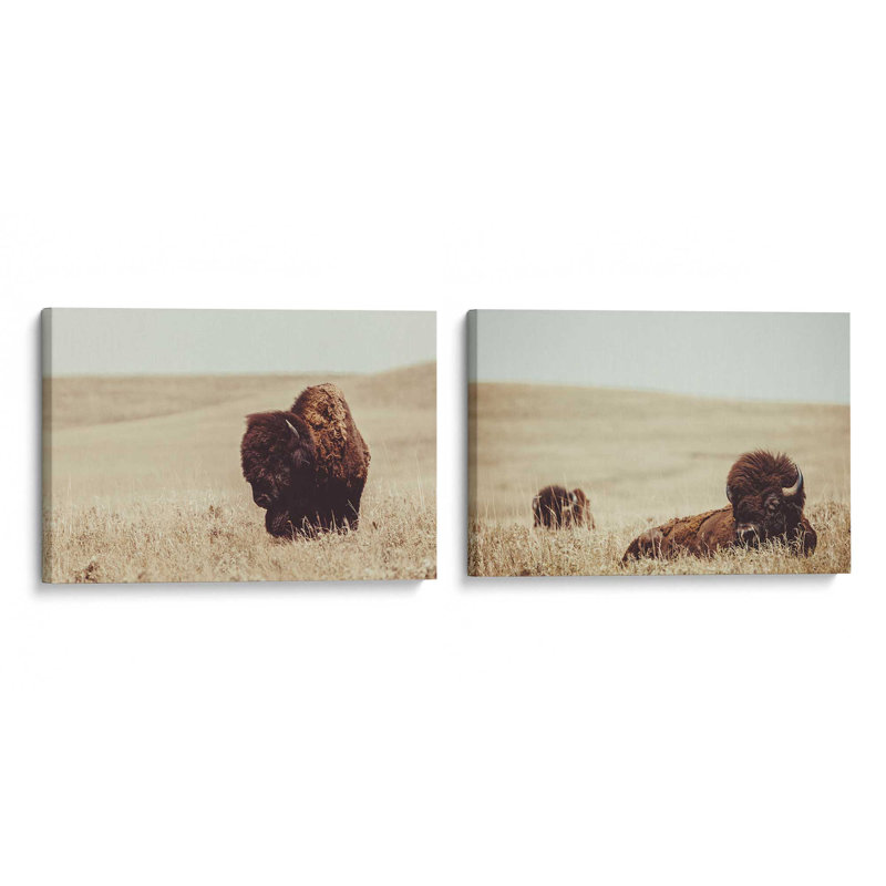 Ensemble de 2 bisons des prairies, Toile tendue, Ne s’applique pas, H 12 po x l 36 po x P 1,75 po