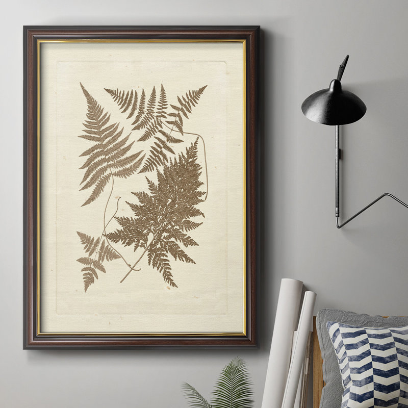 Toile encadrée de qualité supérieure sépia fougères VI - prête à être accrochée, H 27 po x l 18 po x P 2,5 po