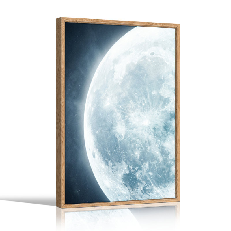 Ensemble de 1 tableau sur toile représentant la surface de la Lune, 36"H x 24"W, Natural
