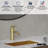 Single-handle Bathroom Faucet with Drain Assembly-102916190