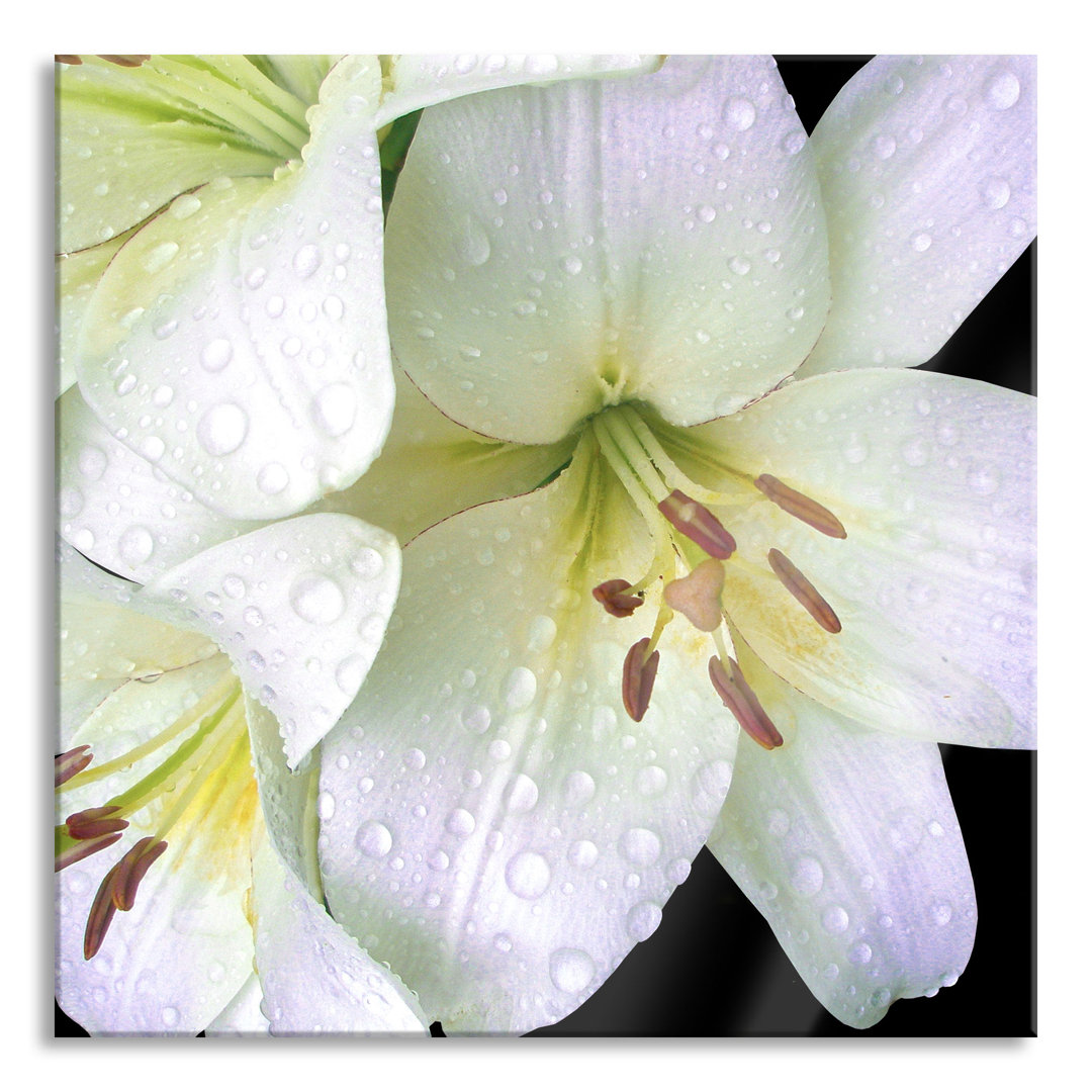 Ungerahmtes Foto auf Glas "Dark Orchid Flowers"