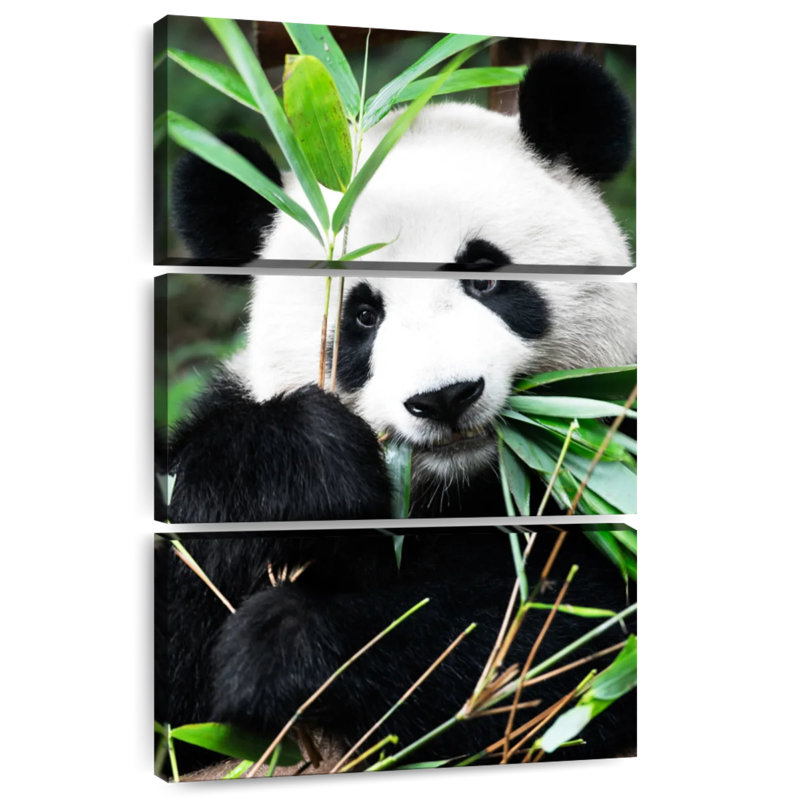 Brampt Giant Panda I, 65" H x 42" W
