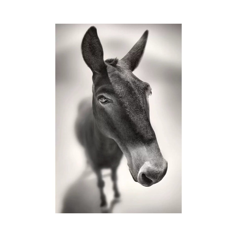 Talking To Me by Ben Heine - Wrapped Canvas Painting, 66.04 cm H x 45.72 cm W x 1.91 cm D