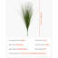 68.6cm Faux Onion Grass Grass