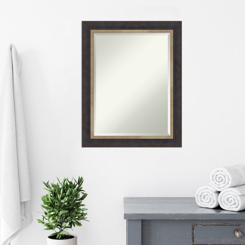 Miroir mural Earnice, 28,75 po x 22,75 po