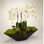 Orchid Floral Arrangement in Metal Planter-1631569097