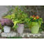 Bojorquez Pot Planter-422402144-422402152