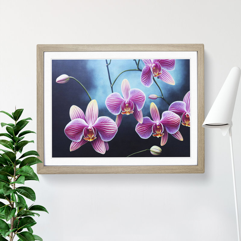 Incomparable Orchid Flowers - Single Picture Frame Print, 46cm H x 64cm W x 2cm D, Oak