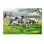 «Black Mountain Sheep Landscape» par Armand, reproduction sur toile-21649857