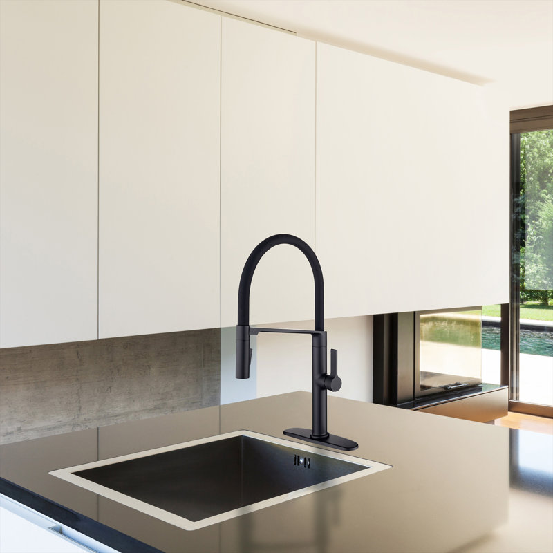 Robinet de cuisine l 10 po RX6000BN, Noir mat