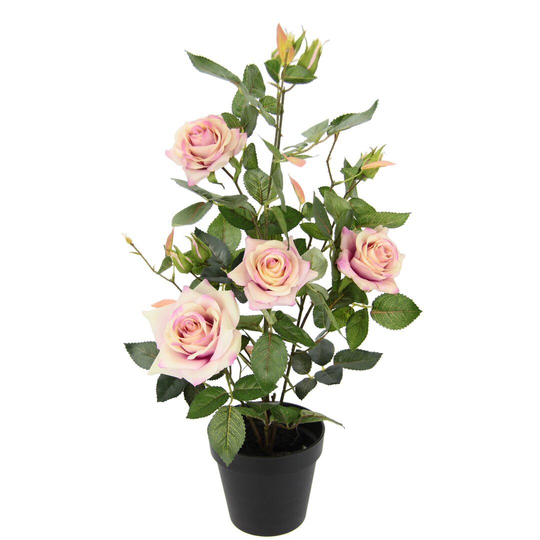 Rosenstrauch im Topf Rosen Rosenstrauch Rosenbaum Künstliche Rosen Seidenblumen Künstliche Pflanzen Büropflanze