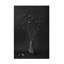 Sombre sur toile-1588973898