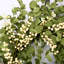 24" Handcrafted Faux Eucalyptus Berry Wreath for Front Door-1297859583