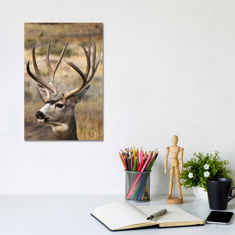 Monster Mulie by Brian Wolf - Wrapped Canvas Print, 20.32 cm H x 30.48 cm W