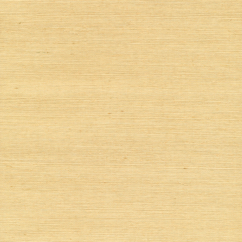 Achai, rouleau de papier peint beige Wan, 24 pieds de long x 36 pouces de large