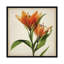 «Parchment Flowers X», impression sur toile-30306446-72564795-72564801