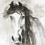 Magnifique cheval sauvage - reproduction encadrée pour un décor intérieur-1842885996