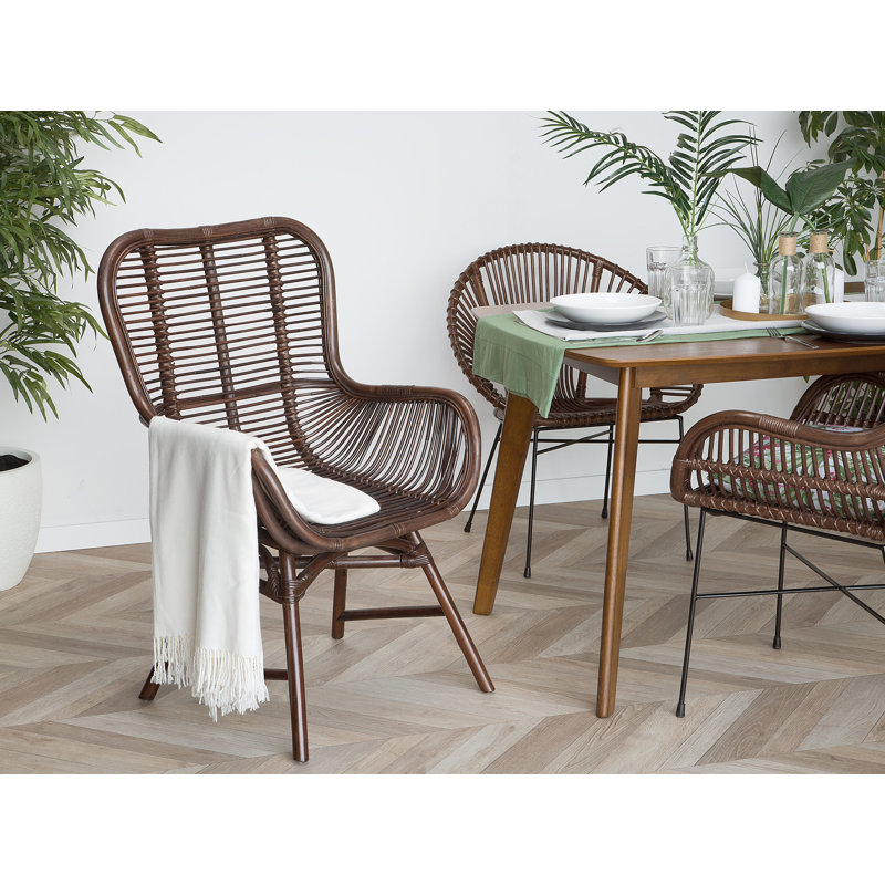 Gaelen Patio Dining Armchair with Cushion, Brown