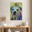 Bull-terrier Brampt-108227316