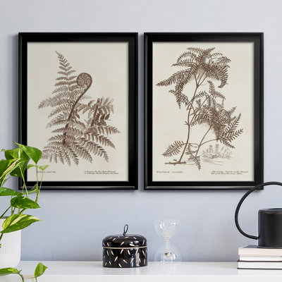 Sépia fougères variétées I - ensemble de 2 impressions encadrées sur toile