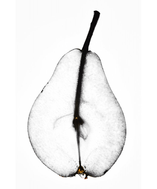 Wrapped Canvas Print, 76.2 cm H x 50.8 cm W