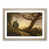 Oak Framed selected