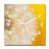 White/Yellow/Brown selected