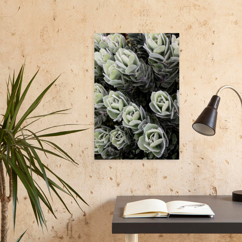 Art contemporain, art abstrait moderne, plante grasse, H 24 po x l 16 po