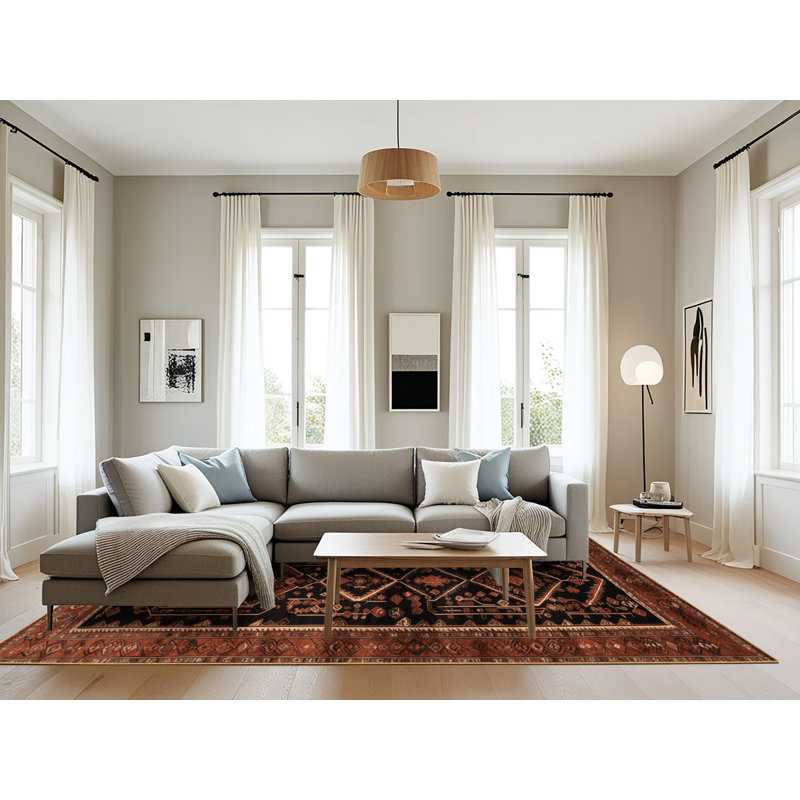 Machine Washable Turkish Brown Area Rug, Rectangle 6' x 9'